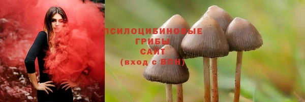 прущие крисы Алексин