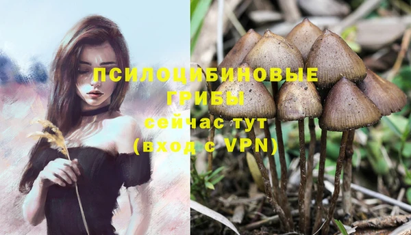 трава Алексеевка