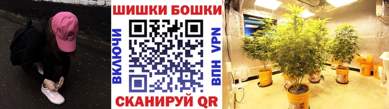 купить закладку  KRAKEN ТОР  Канабис план  Всеволожск 